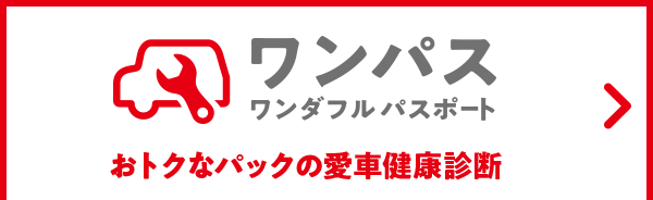 ワンパス